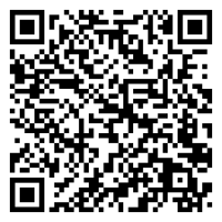 qr code for accessing wikipage on Bloomington Workshop